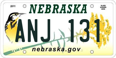 NE license plate ANJ131