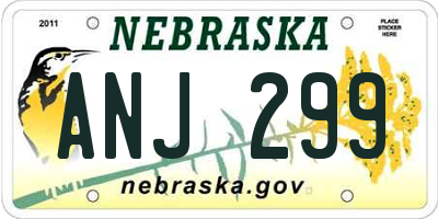 NE license plate ANJ299