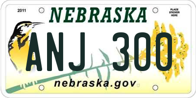 NE license plate ANJ300