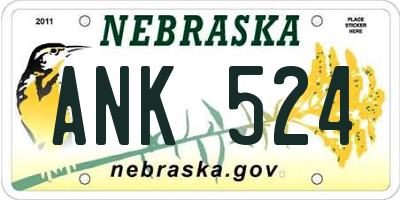 NE license plate ANK524