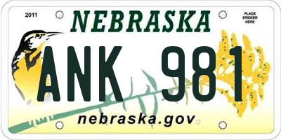 NE license plate ANK981