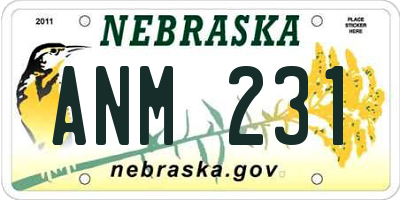 NE license plate ANM231