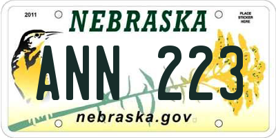 NE license plate ANN223