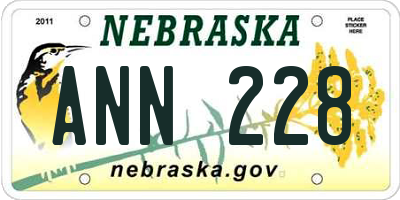NE license plate ANN228