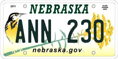 NE license plate ANN230