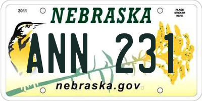 NE license plate ANN231