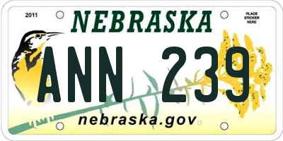 NE license plate ANN239