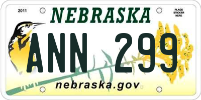 NE license plate ANN299