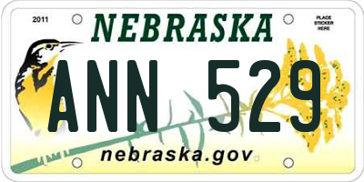 NE license plate ANN529