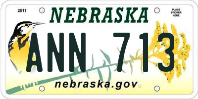 NE license plate ANN713