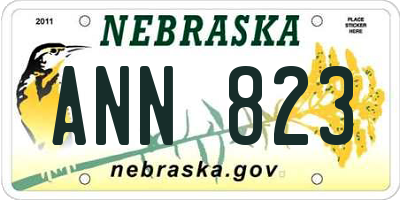 NE license plate ANN823
