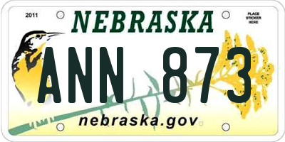 NE license plate ANN873