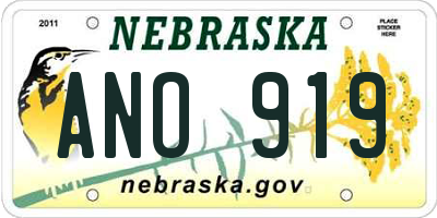 NE license plate ANO919