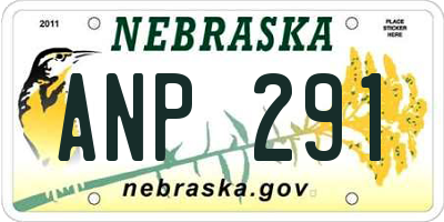 NE license plate ANP291