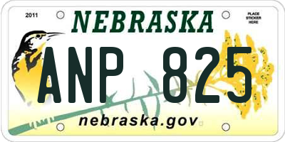 NE license plate ANP825