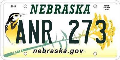 NE license plate ANR273