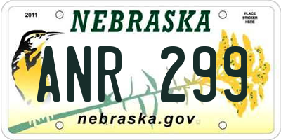 NE license plate ANR299