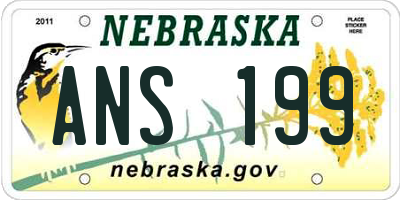 NE license plate ANS199