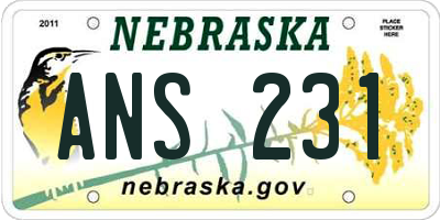 NE license plate ANS231