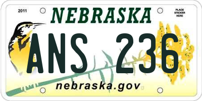 NE license plate ANS236