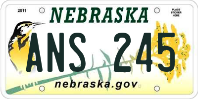 NE license plate ANS245