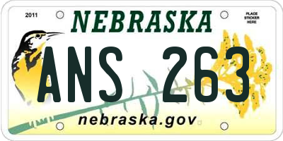 NE license plate ANS263