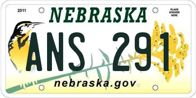 NE license plate ANS291