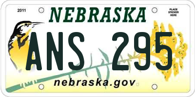 NE license plate ANS295