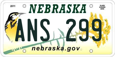 NE license plate ANS299