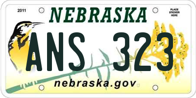 NE license plate ANS323
