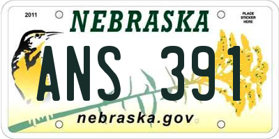 NE license plate ANS391