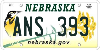 NE license plate ANS393
