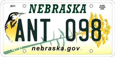 NE license plate ANT098