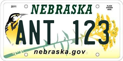 NE license plate ANT123