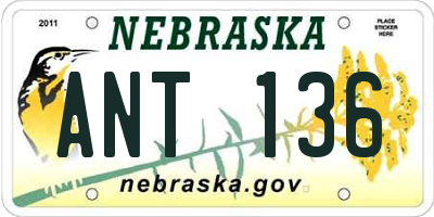 NE license plate ANT136
