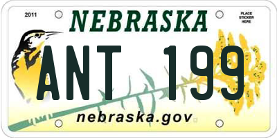 NE license plate ANT199