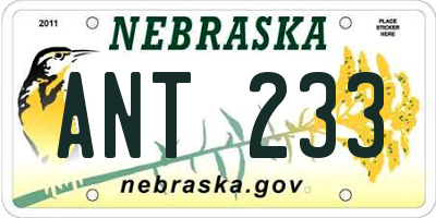 NE license plate ANT233