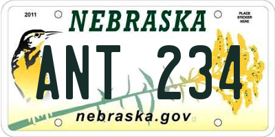 NE license plate ANT234