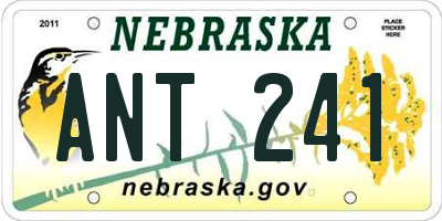 NE license plate ANT241