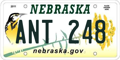 NE license plate ANT248