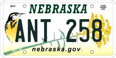 NE license plate ANT258
