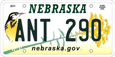 NE license plate ANT290