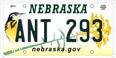 NE license plate ANT293