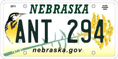 NE license plate ANT294