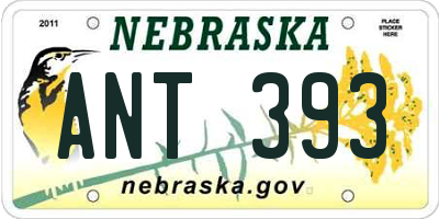 NE license plate ANT393