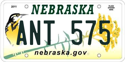 NE license plate ANT575