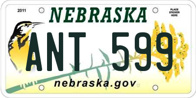 NE license plate ANT599