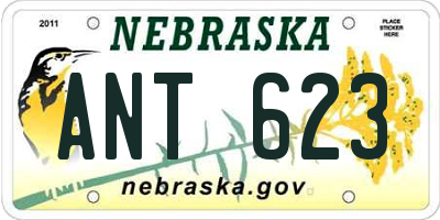 NE license plate ANT623