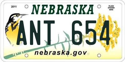 NE license plate ANT654