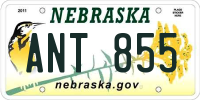 NE license plate ANT855